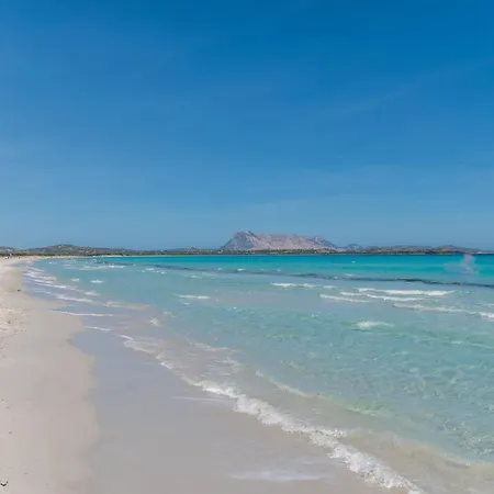 Vecchio Stazzo By Interhome Lejlighed San Teodoro (Sardinia)